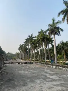 Panjab University Chandigarh Campus photo 16